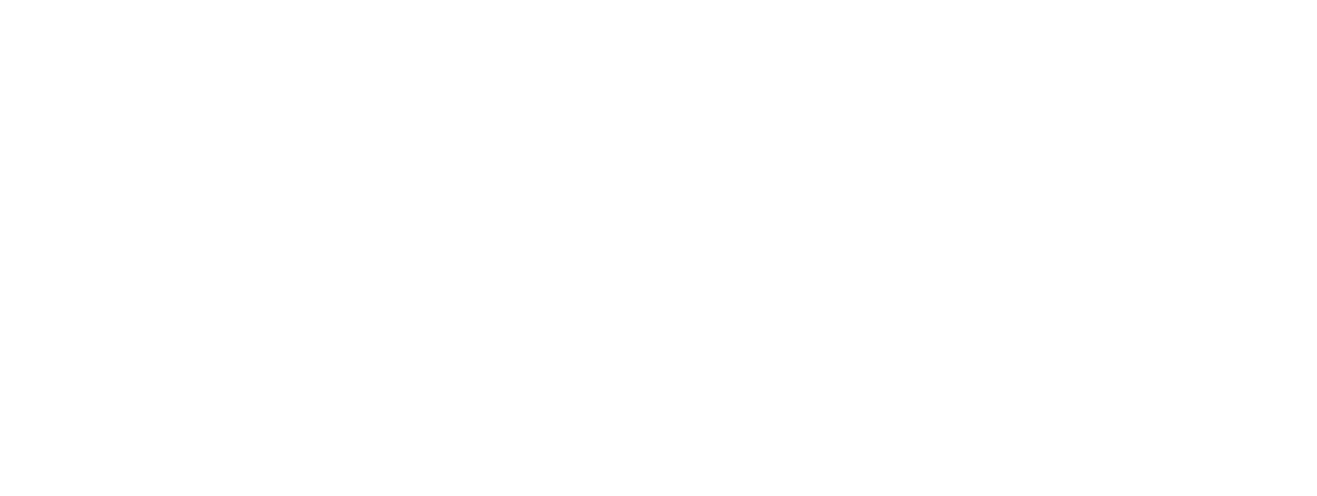 Logo Footer